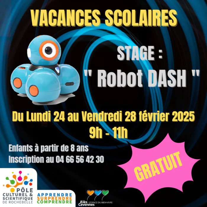 Stage vacances scolaires : " Robot Dash " Pôle culturel et scientifique de Rochebelle Alès