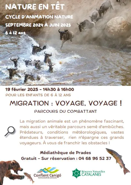 NATURE EN TÊT "MIGRATION: VOYAGE