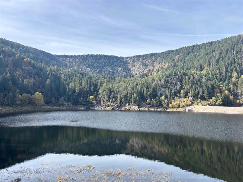 Circuit rando du lac Blanc au lac Noir (aller-retour) Orbey Grand Est