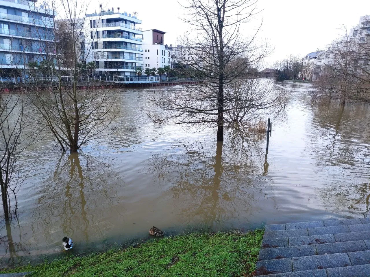 rennes inondée