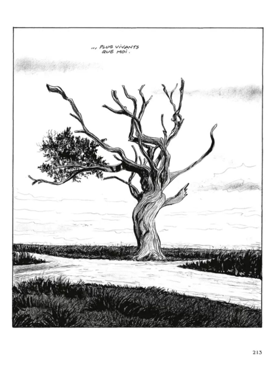 Les derniers jours de Robert Johnson Duchazeau