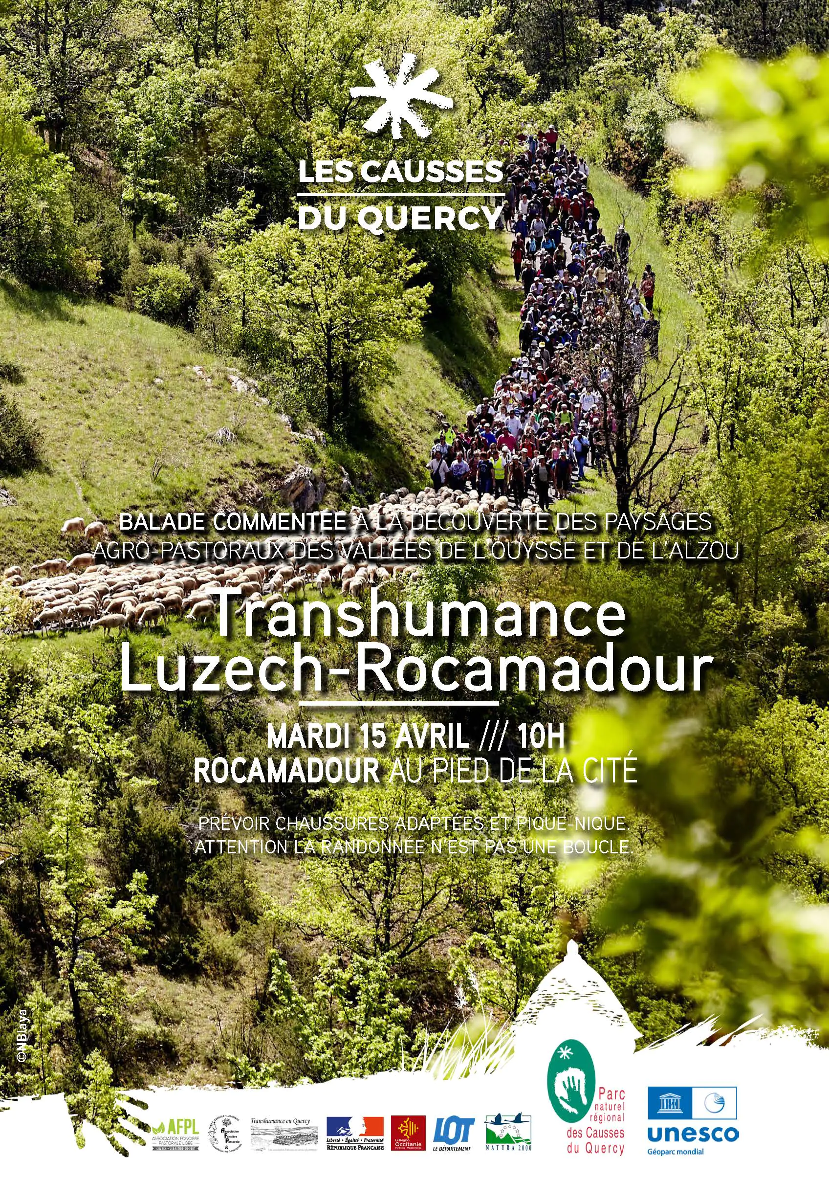 Transhumance Rocamadour-Luzech