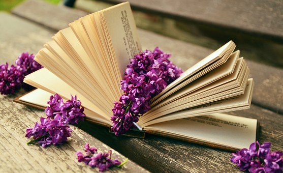 Nuit de la lecture à la Médiathèque de Saint-Aulaye