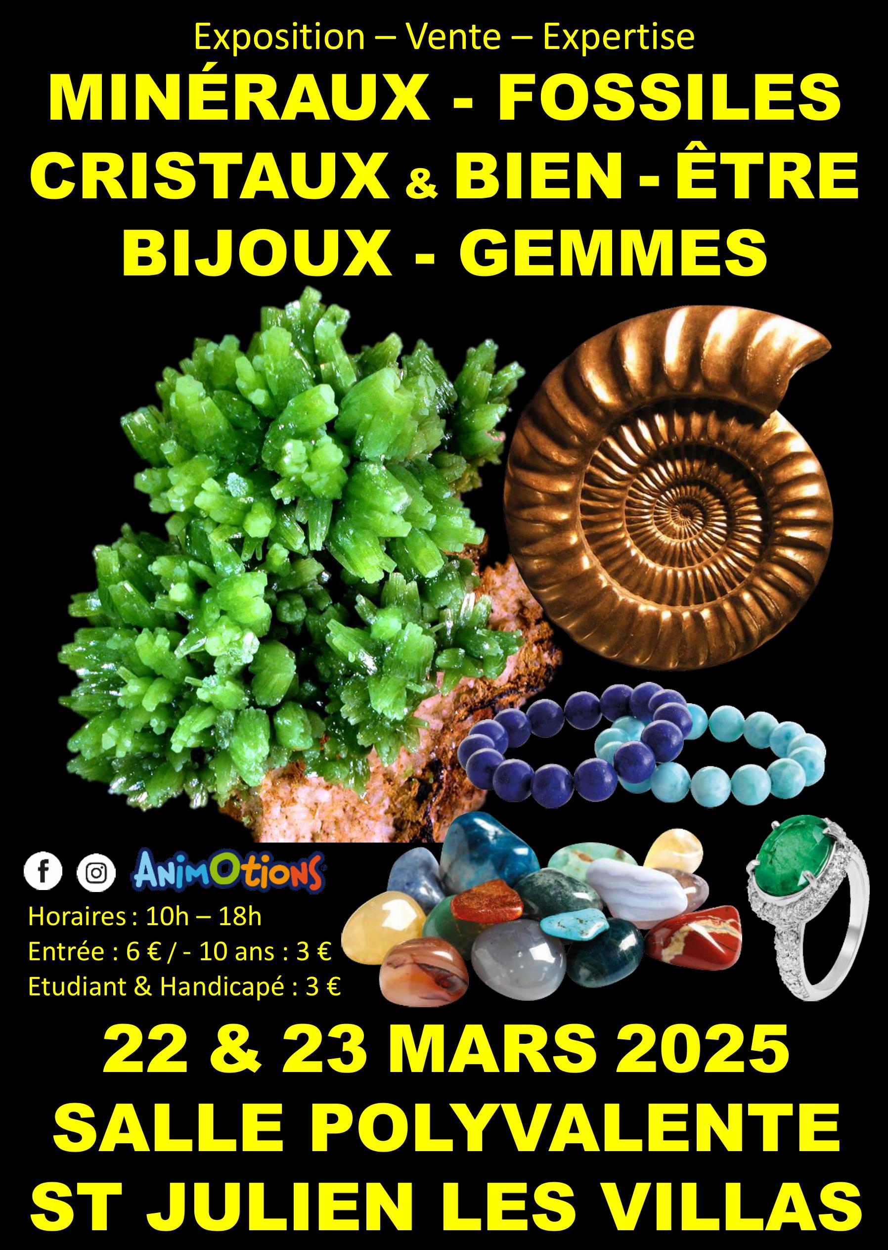 Salon Minéraux Fossiles Cristaux & Bien-Être Bijoux et Gemmes de Troyes