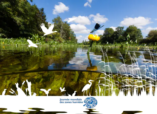 Exposition "Les sites Ramsar français"