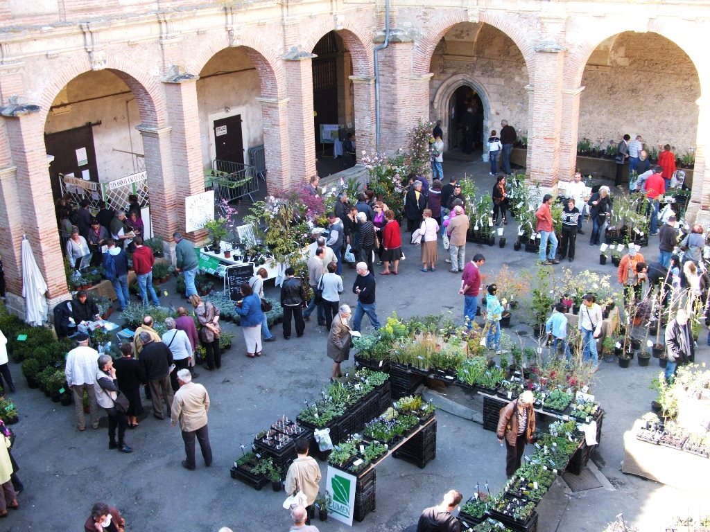 32ème édition Varietas Florum