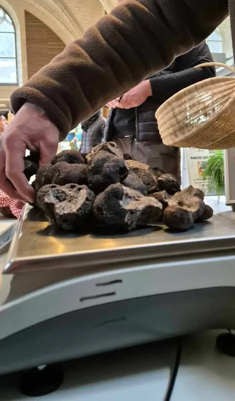 Fête de la Truffe et de la Langue Occitane