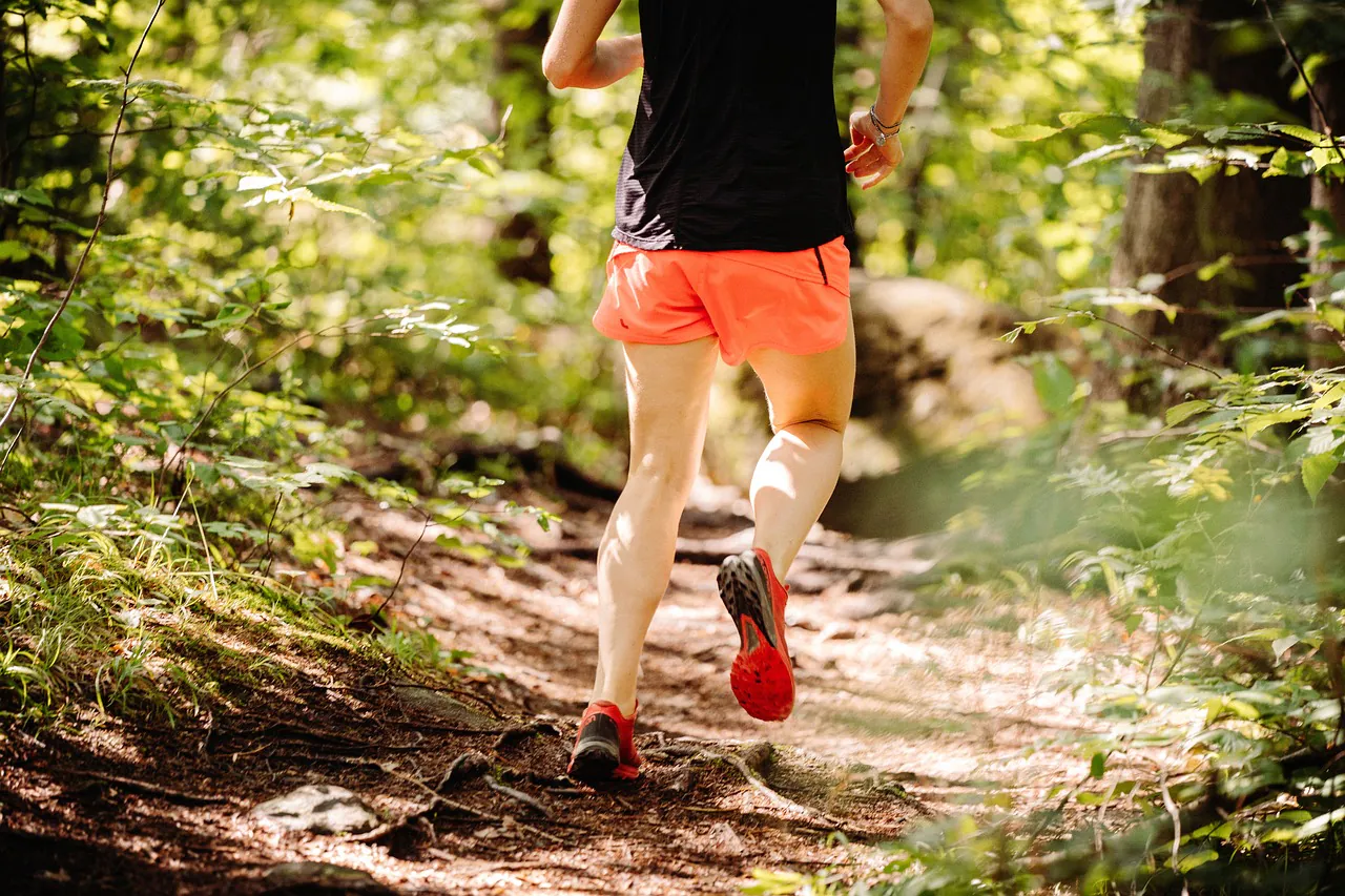 1ER TRAIL DE LA VALLÉE FRANÇAISE