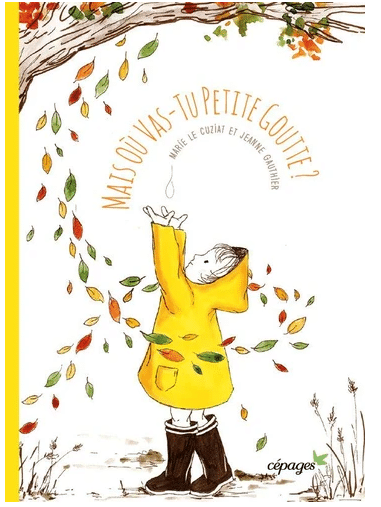 salon du livre jeunesse pays du roi morvan