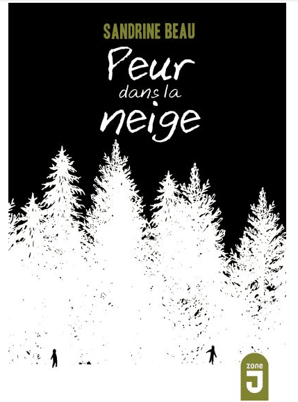 salon livres jeunesse pays du roi morvan 