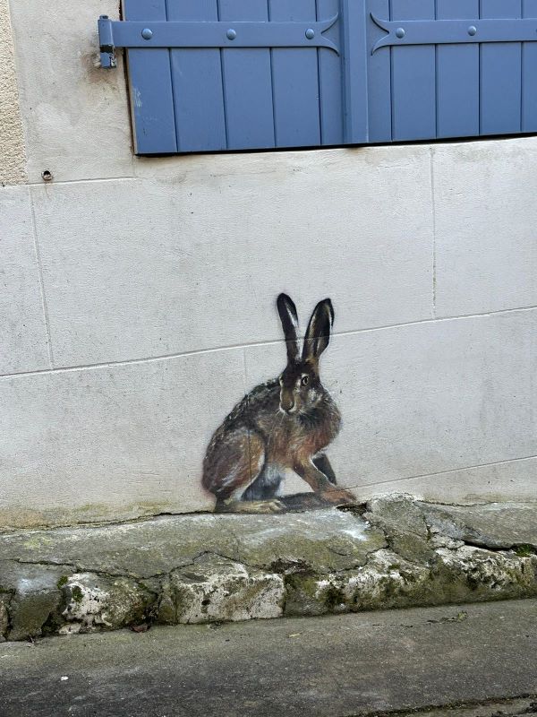 Les animaux cachés dans Sancerre