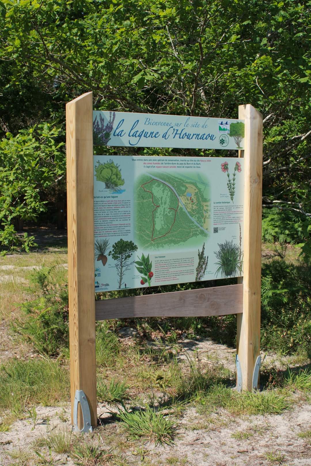 Site de la Lagune d'Hournaou Biscarrosse Nouvelle-Aquitaine