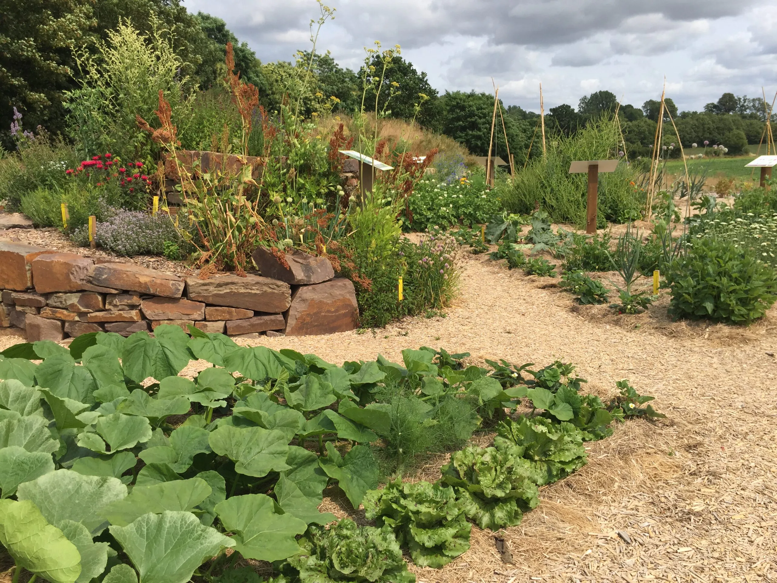 Visite commentée Pourquoi pas un potager en permaculture?