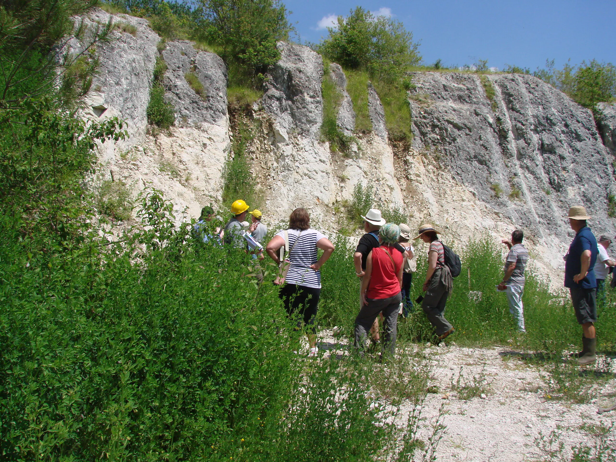 Sortie nature