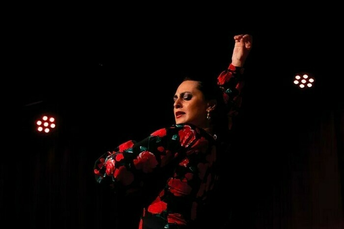 Tablao flamenco - Cie Flamenca/Helena Cueto Théâtre la Ruche - Le Petit Théâtre de Viarme