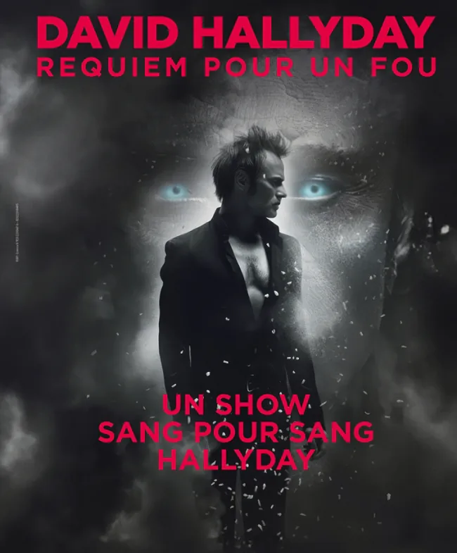 David Hallyday Requiem pour un fou