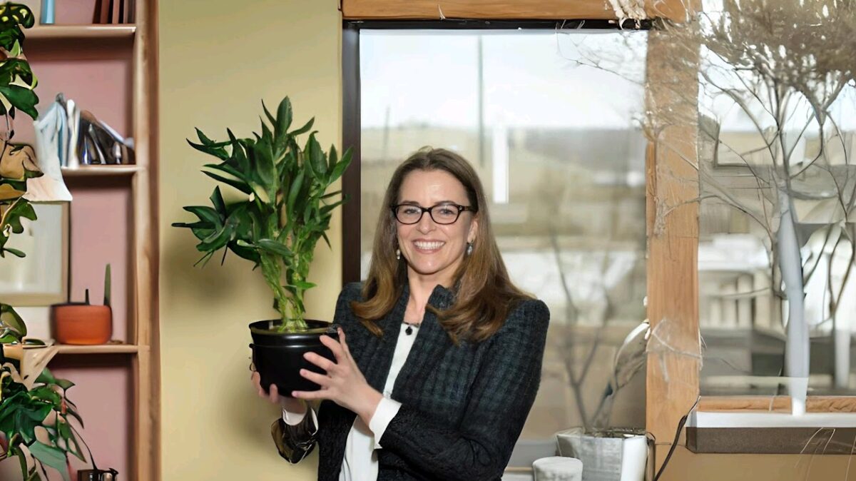 université rennes 3