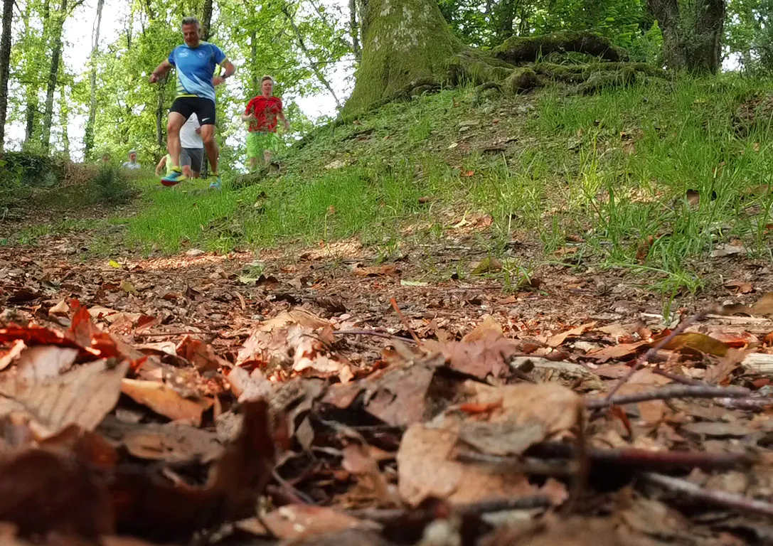 Circuit Uni'Vert Trail n°6 Racin'es Trail La Souterraine Nouvelle-Aquitaine