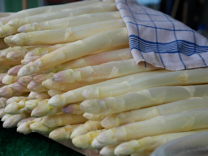 Fête de l'Asperge