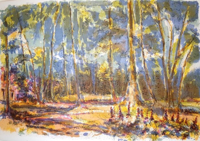 Adolphe Beaufrère (8) Adolphe Beaufrère