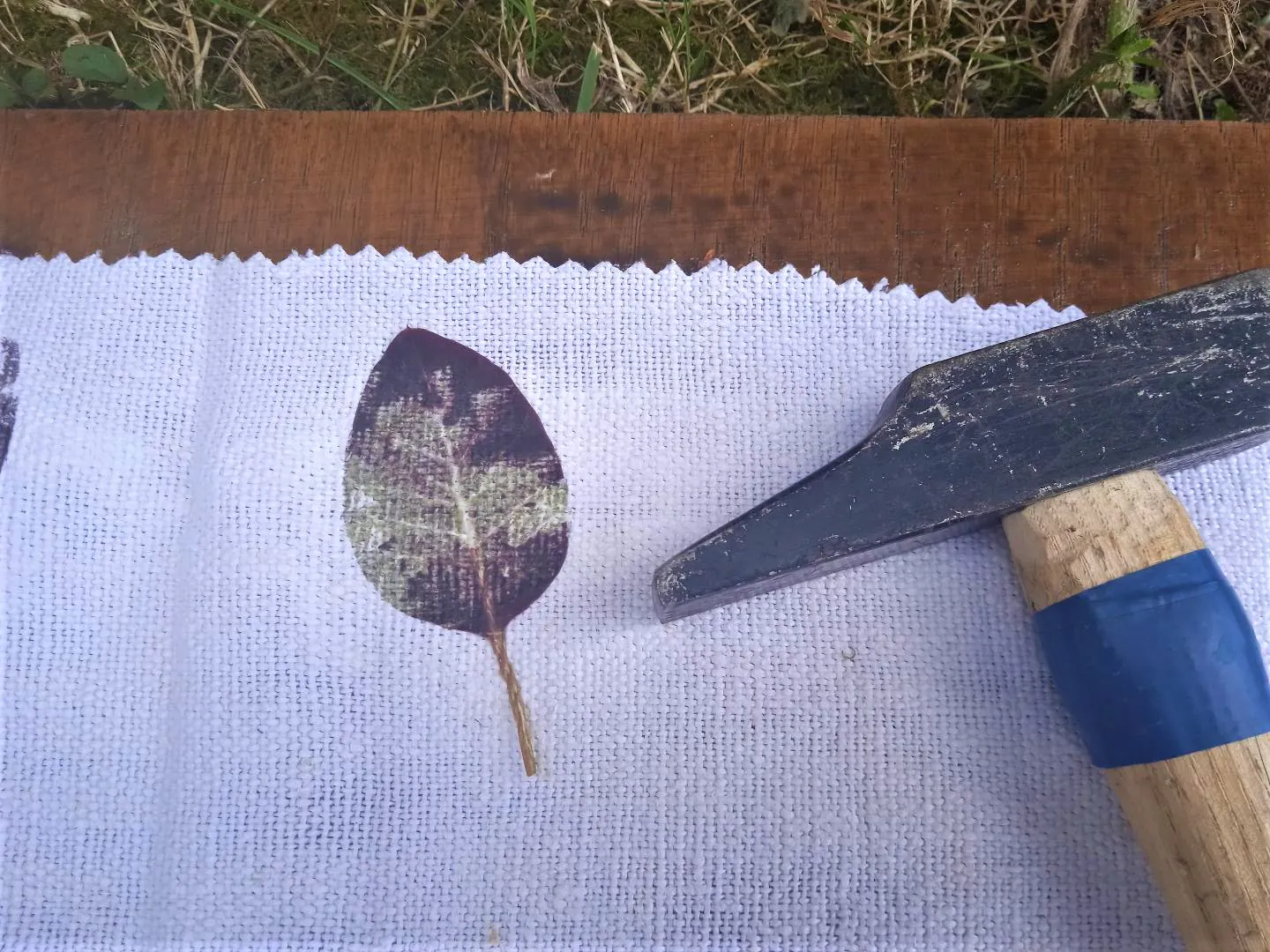 Atelier enfant  Artistes avec les plantes »