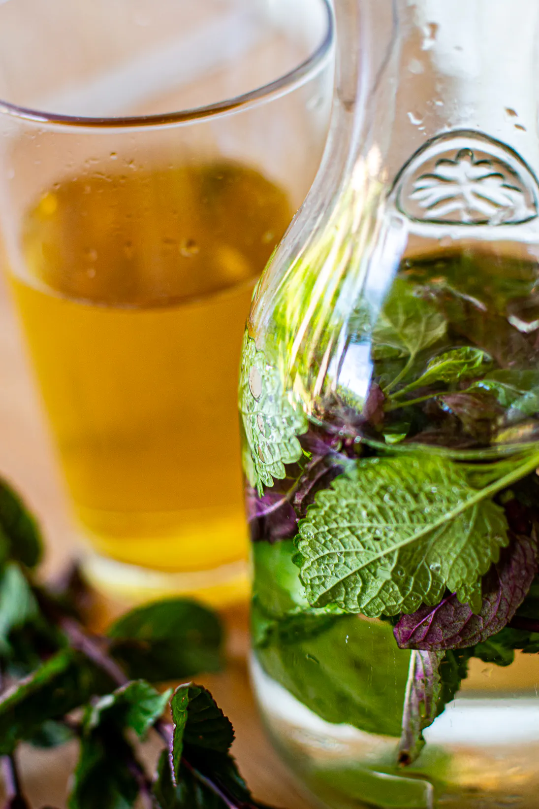 Atelier cuisine avec les plantes "Mon jardin m'offre l'apéro"