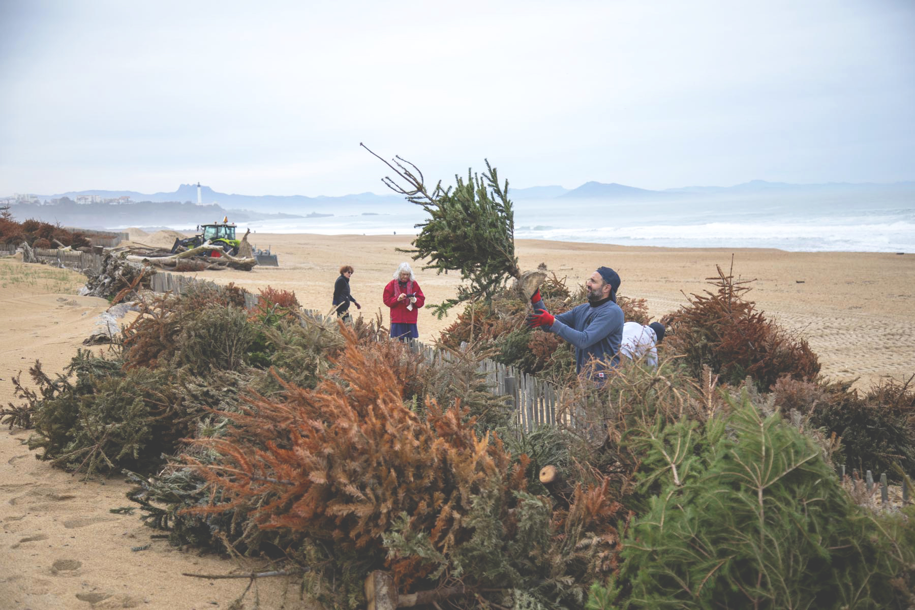 Chantier participatif opération sapin de noël !