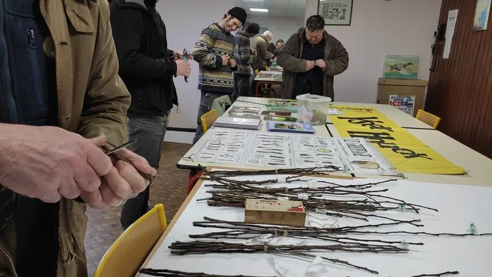 Formation greffage de fruitiers Ateliers communaux (accès rue de l'église) - Boëseghem Boëseghem