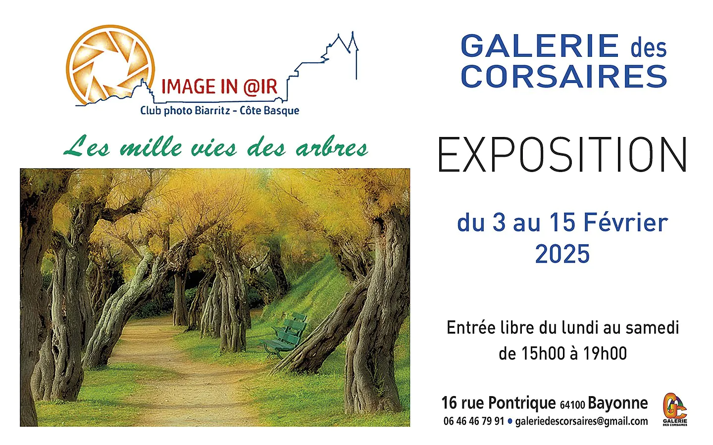 Exposition: les mille vies des arbres