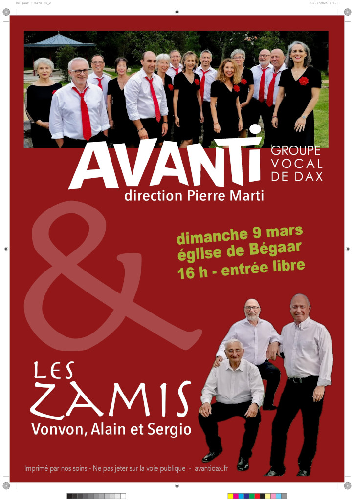 Concert Avanti et les Zamis