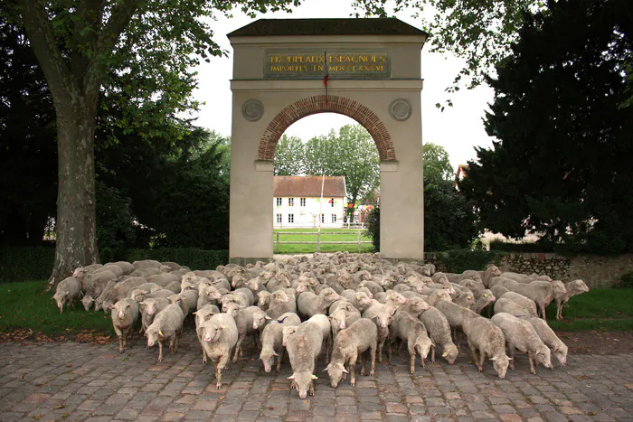 Visite de l'exploitation de la Bergerie nationale de Rambouillet Bergerie nationale de Rambouillet