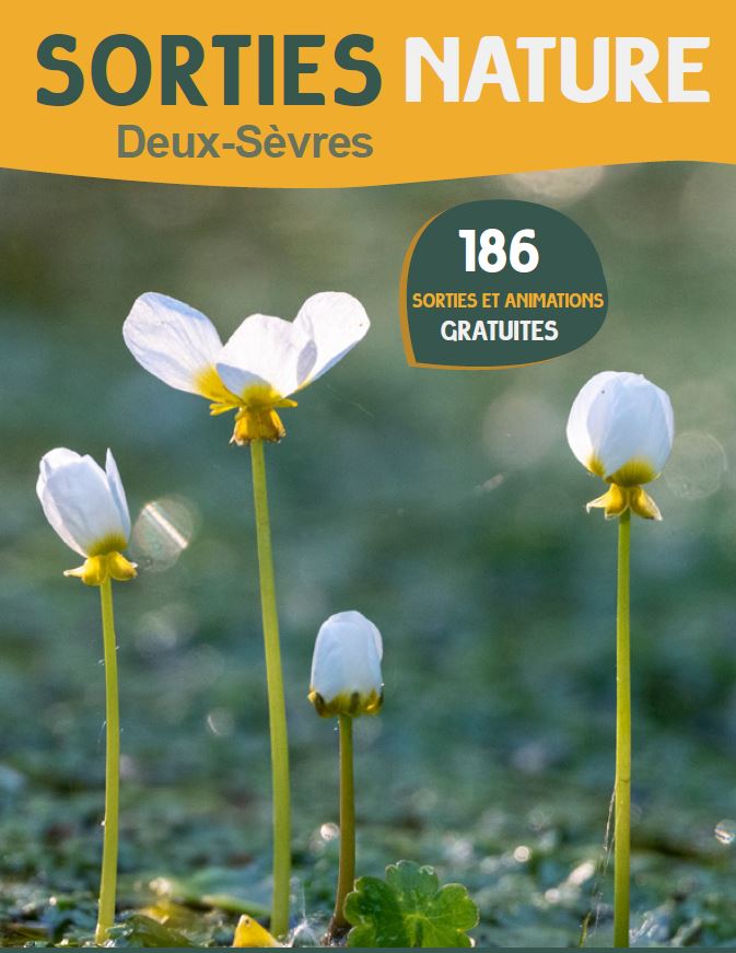 Sorties natures Deux-Sèvres A la découverte de l'agrion de mercure