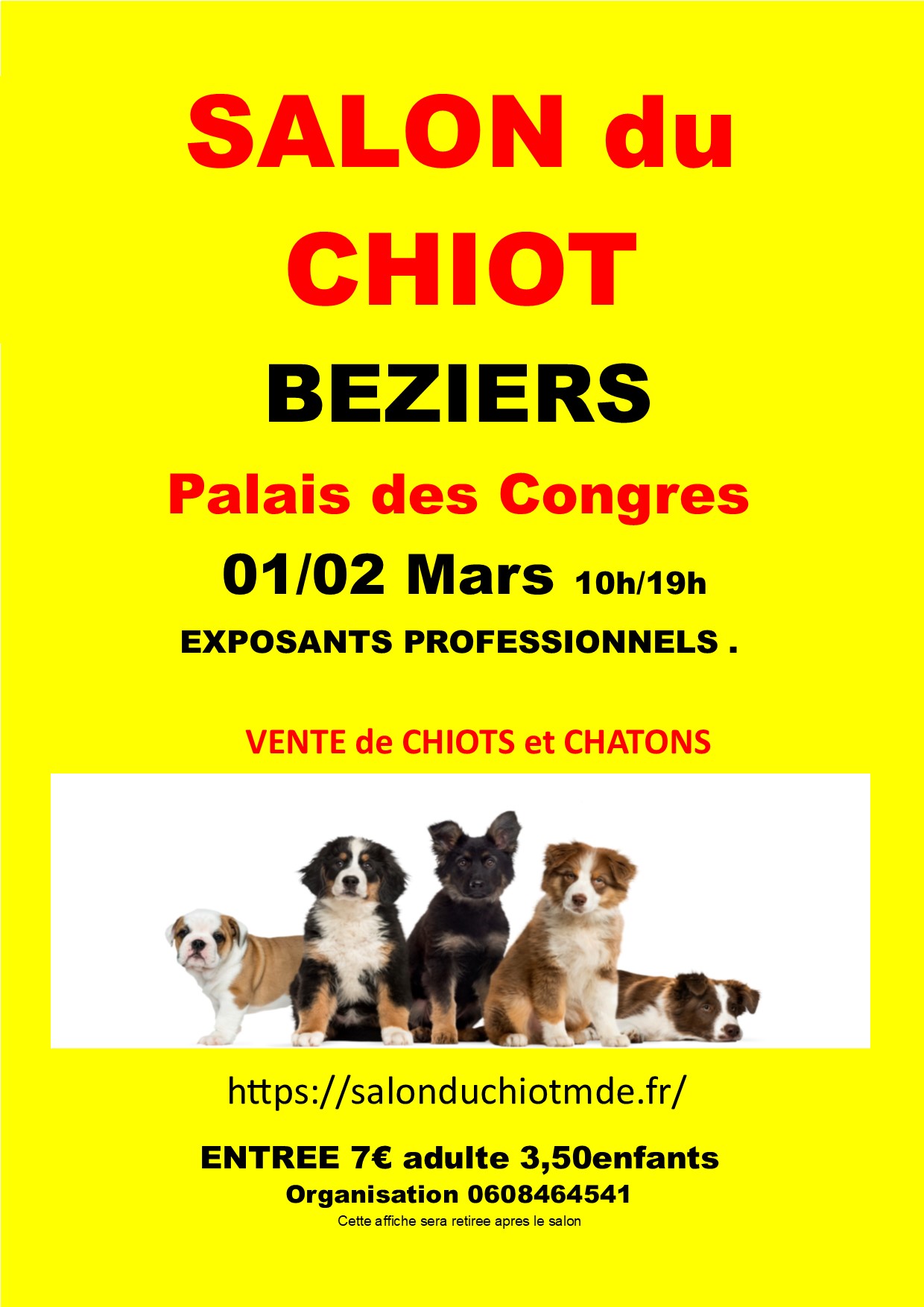 SALON DU CHIOT