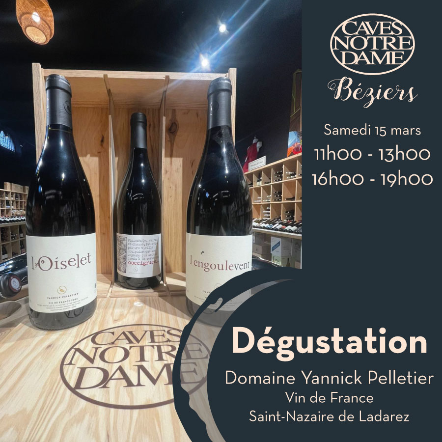 DEGUSTATION DES VINS DU DOMAINE YANNICK PELLETIER