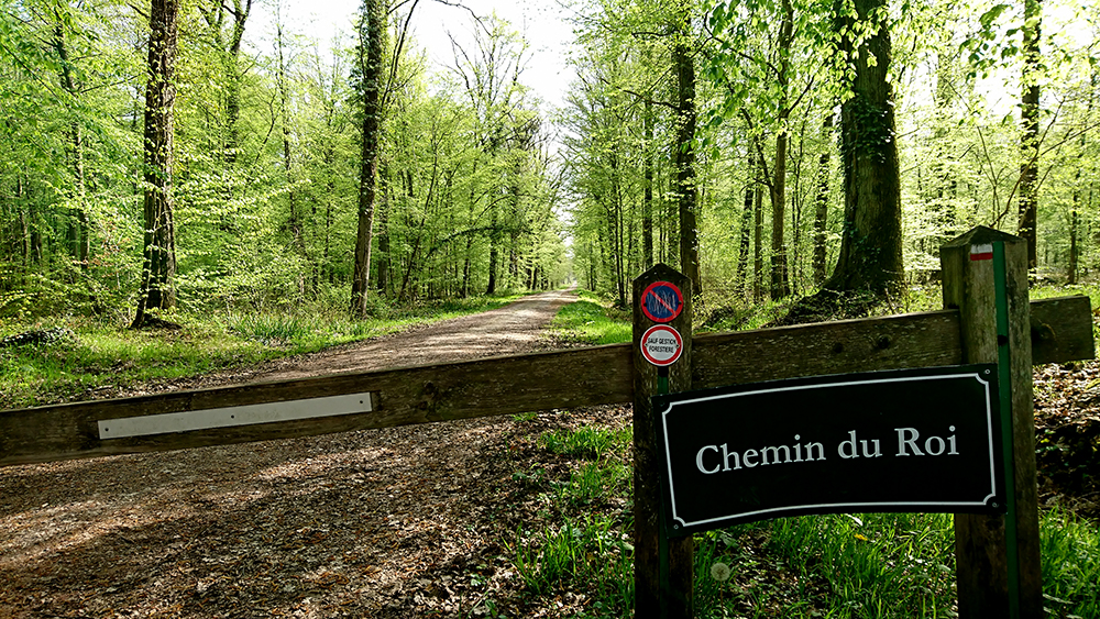 Sortie nature à Vauclair "La découverte du martelage"