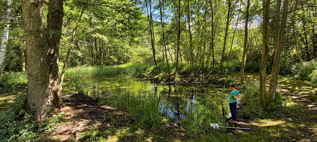 Sortie nature à Vauclair  "Les dents de la mare"