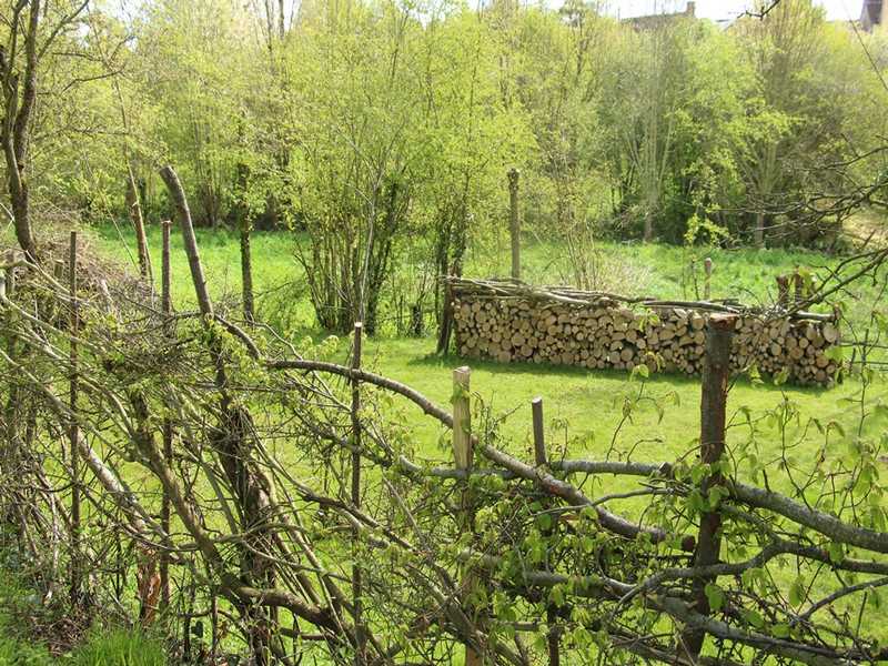 Visite guidée Les potentiels du plessage à Boursay