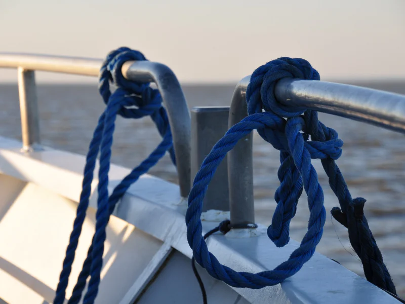 Croisière du dimanche sur l'estuaire à Terres d'Oiseaux