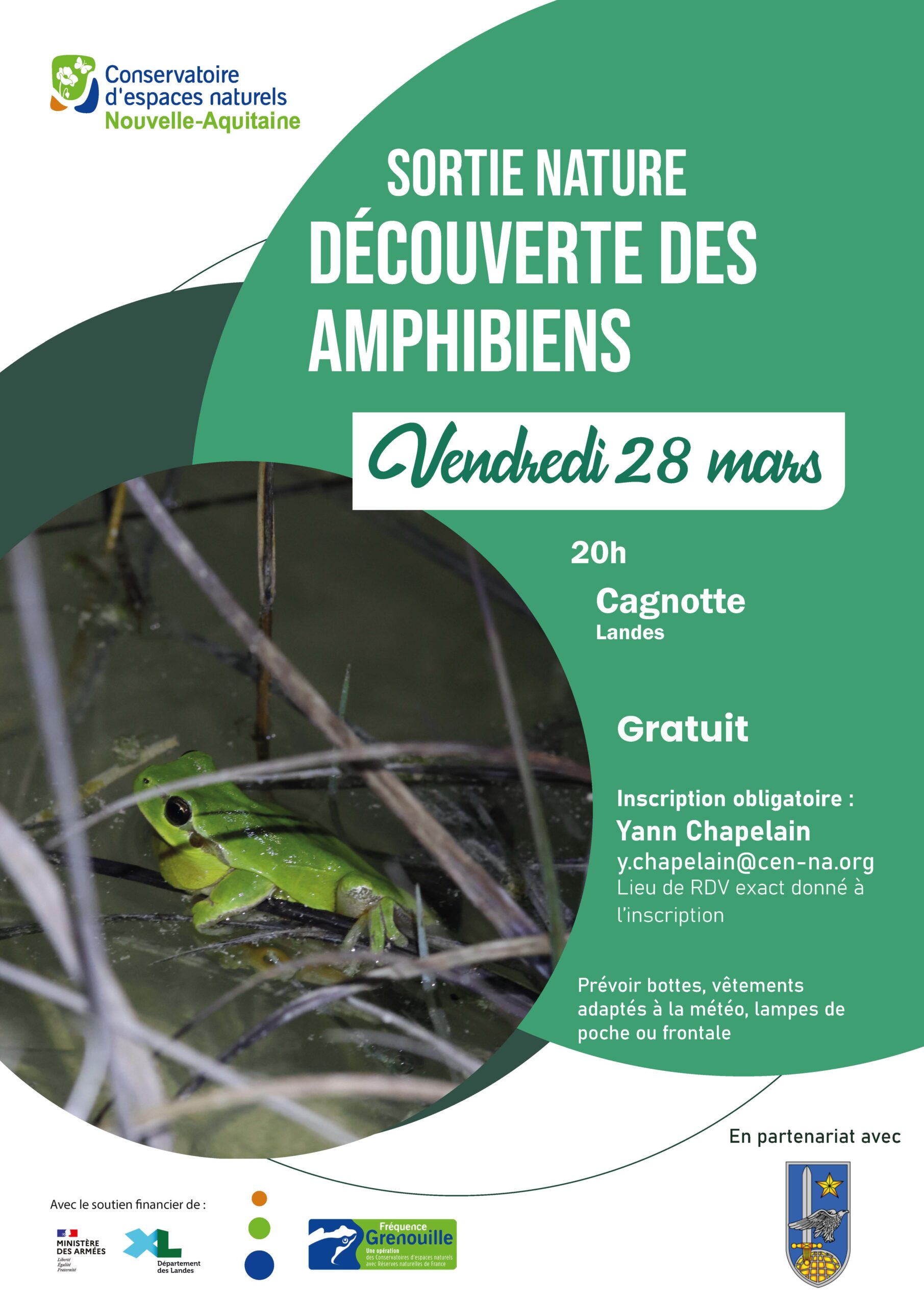 Sortie nature  Découverte des amphibiens