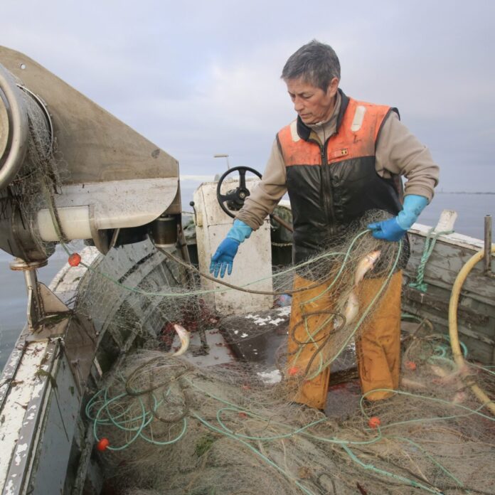 Céline Diais Céline Diais