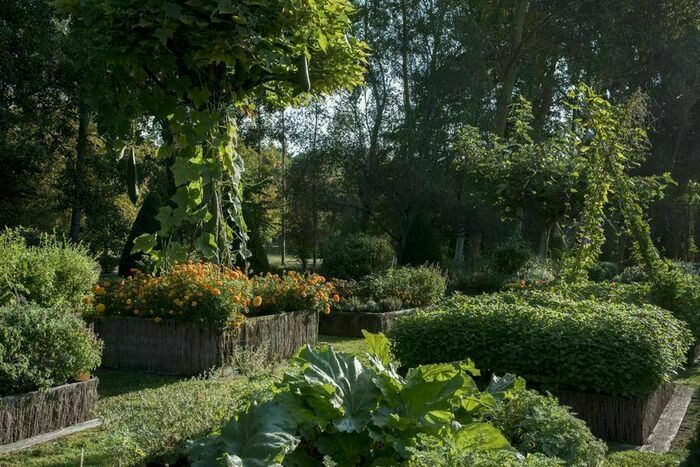 Découverte d'un jardin d'inspiration médiévale Château de la Motte Chalandray