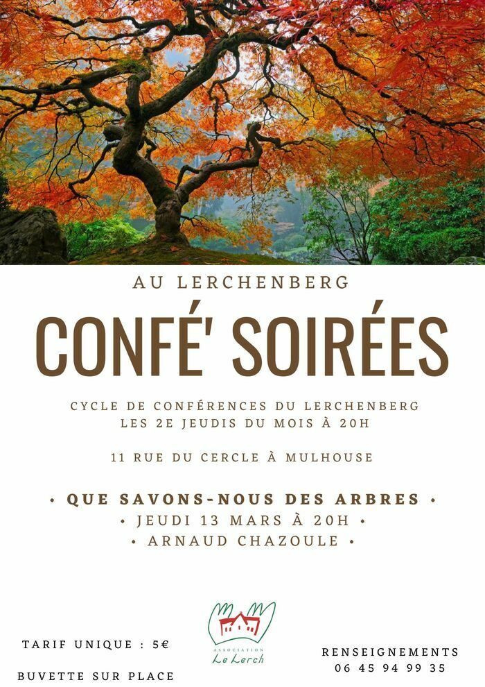 Confé' Soirées - Que savons-nous des arbres ? Lerchenberg Mulhouse