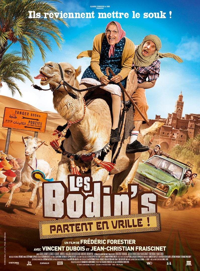 Cinéma Les Bodin's partent en vrille