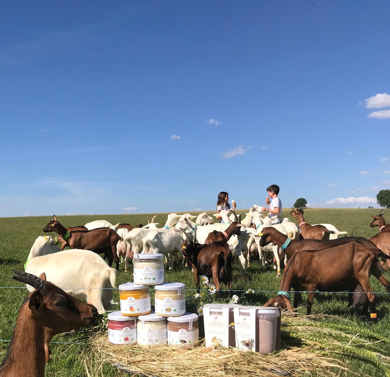 Visite à la Ferme des Damoiselles