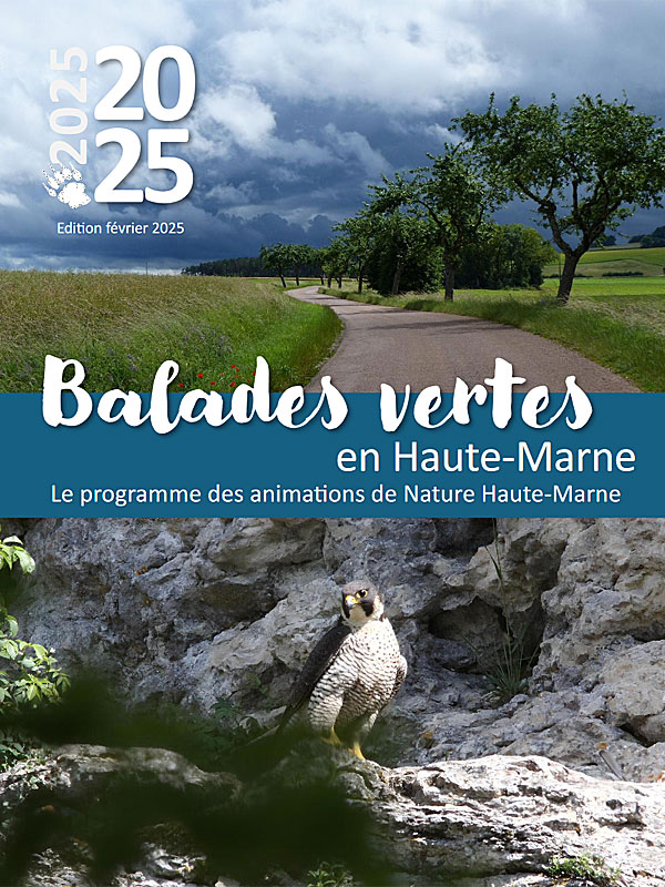 BALADES VERTES EN HAUTE-MARNE PROMENADE BUCOLIQUE EN COMPAGNIE DES OISEAUX DE NOTRE REGION