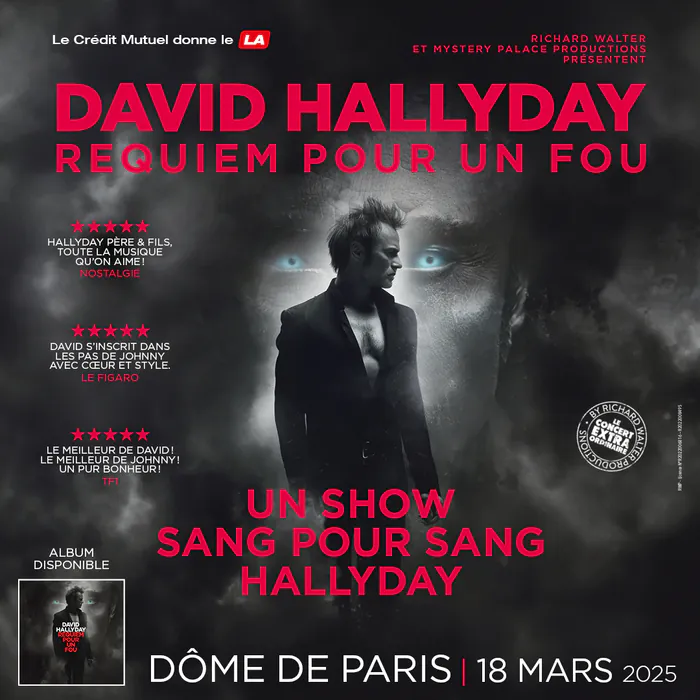 David Hallyday Requiem pour un fou Le Dôme de Paris Paris