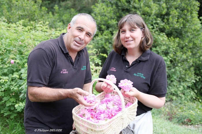 DECOUVERTE DES PLANTES A PARFUM DU PAYS DE GRASSE ET DE LEUR TRANSFORMATION EN CONFISERIE Domaine du mas de l'olivine Peymeinade