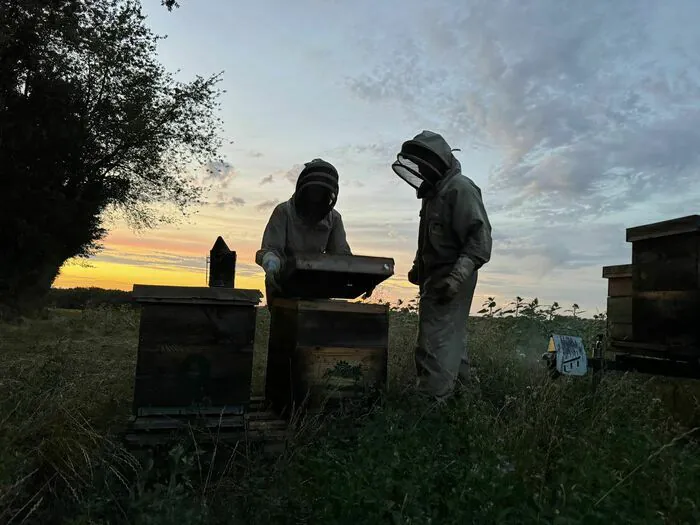 Visite de la ferme apicole Entre Terre Et Miel Entre Terre et Miel Marnay