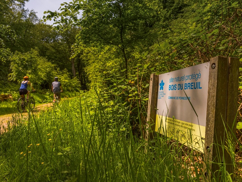 Sur la trace et indices de présence d'animaux du bois du Breuil