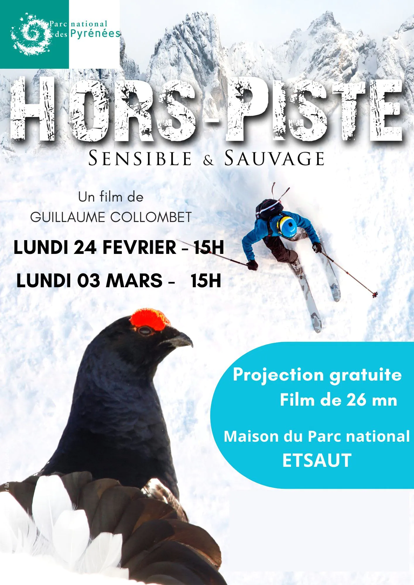 Projection film "Hors-piste